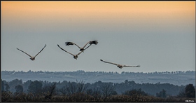 Эсадрилья в полете...