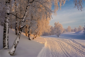 Сибирский пейзаж