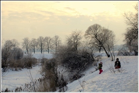 зимняя радость