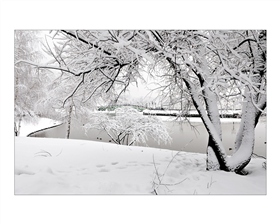 Зимний этюд. Царицыно.