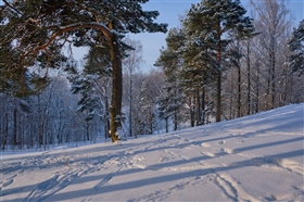 Зимний день 10