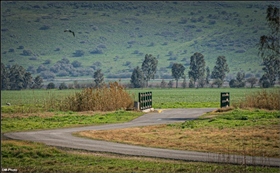 Нас ждут или Посторонним вход!