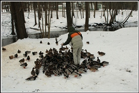 Надо покормить....