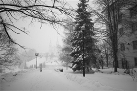 ч/б снегопад