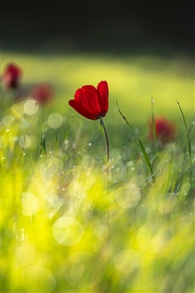 У нас весна...