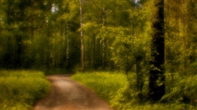 Середина лета