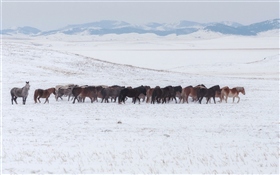 В степях Хакасии