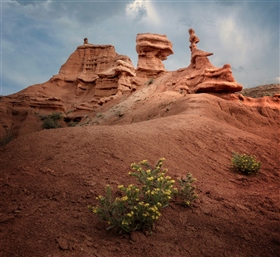 Каньон Конорчек