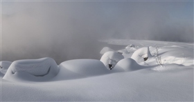 Сибирская весна