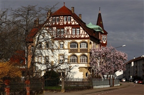 Утро 13 го марта