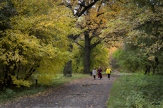 Прогулка в парке