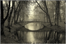 Пришел ноябрьский туман...