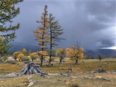 Краски осени