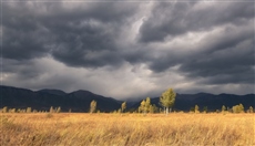 Перед грозой