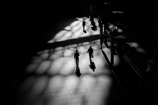 Выход в свет