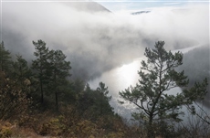 Осенние туманы