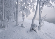 У парящей реки