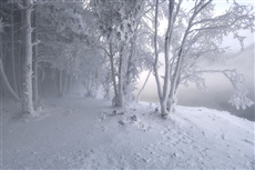 У парящей реки