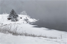 Графика зимы