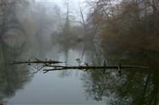 Призрачно все в этом мире бушующем..