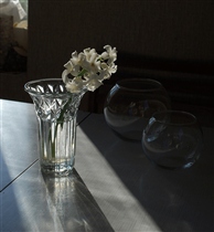 Стёклышки. Белый гиацинт.