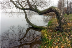 осень отражается в воде