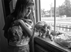 В мире животных