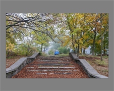 Голубое авто