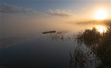 Утро с туманом