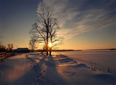 Зимний закат