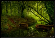 _Road to a wood city_