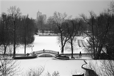 В зимнем парке...