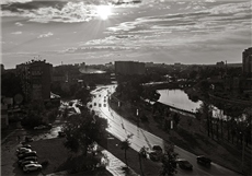 after the rain