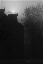  ... и одинокий голубь ...