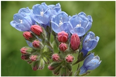 Вам для настроения!