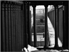 .... Ступени ....