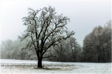 Надоело одиночество… Пробираюсь сквозь туман…