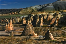 Psychoactive Landscape