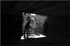 ..... "Иди за белым кроликом" .....