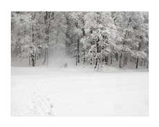 А на том берегу...