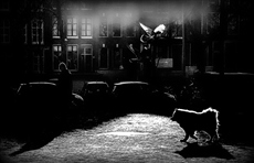 Весна в Амстердаме