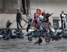 Любовь и голуби