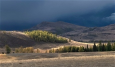 Вечер перед грозой