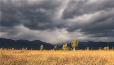 Перед грозой