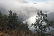 Осенние туманы