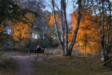 Прощание с осенью