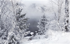 Зимняя сказка