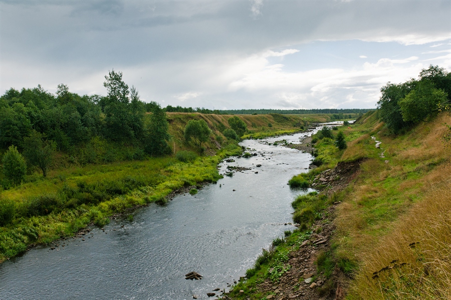 Река тосна. Река Тосна Ленинградская. Река Тосно Отрадное. Исток реки Тосна.