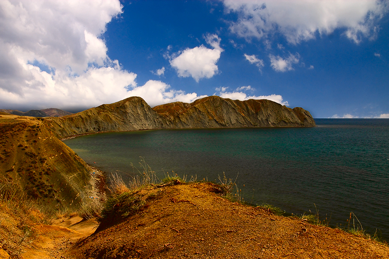 Коктебель хамелеон фото