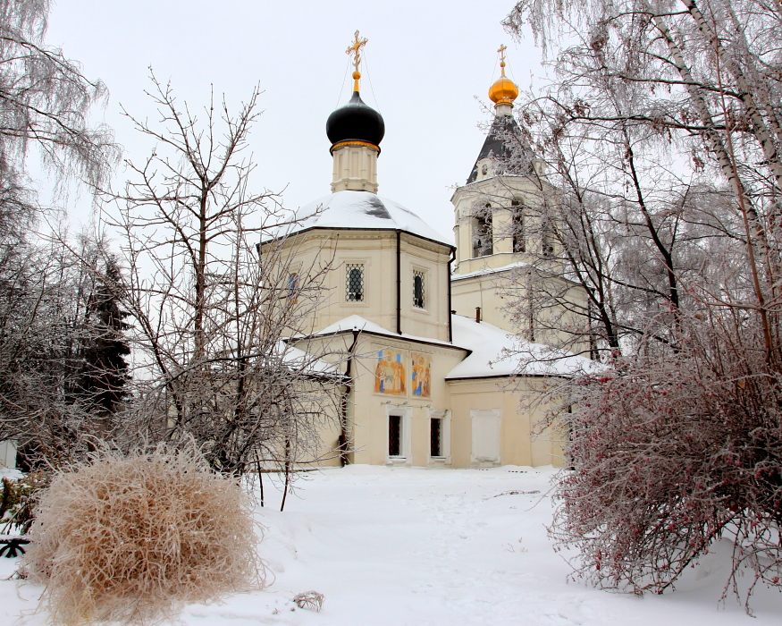 Храм ризоположения пресвятой богородицы. Храм в Леоново. Храм в Леонове в Москве. Храм Ризоположения Богородицы в Леоново. Леоновская Церковь Ботанический сад.